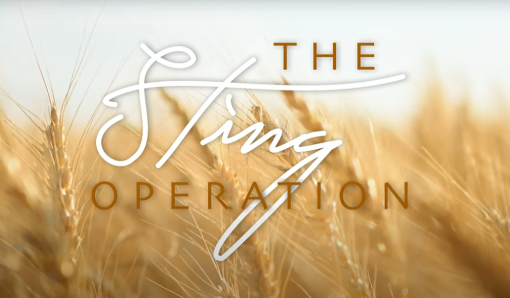 sting operation